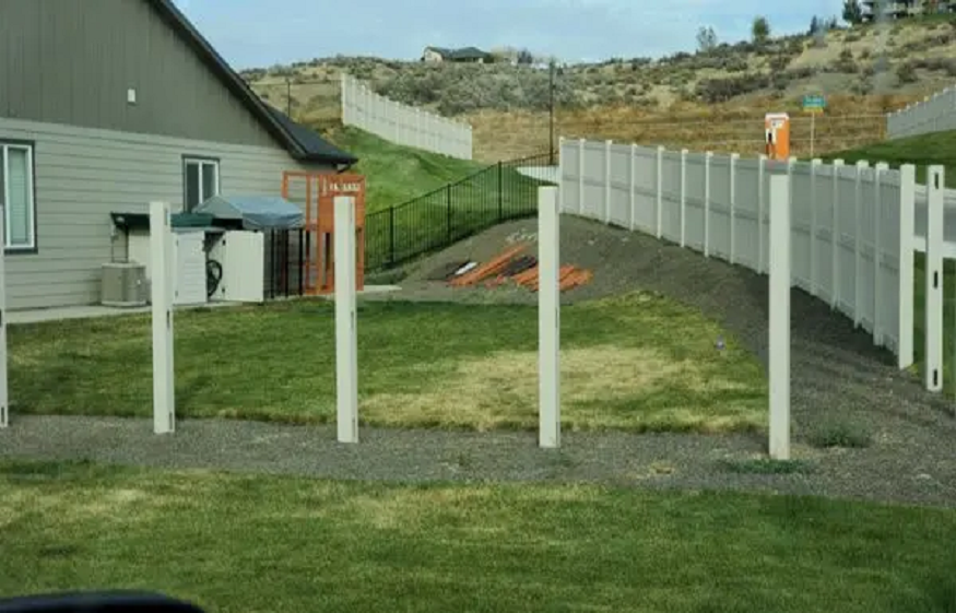 Petrified Forest Boise